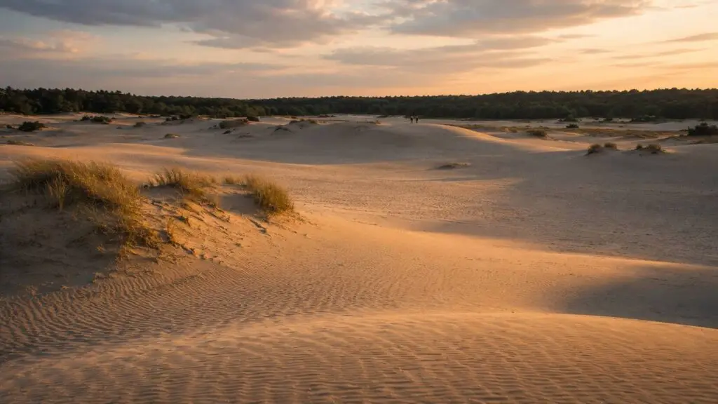 Loonse en Drunense Duinen fotoshoot tussen open zandvlaktes bij laag avondlicht